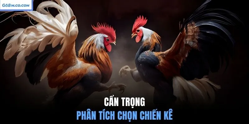 can-trong-phan-tich-chon-chien-ke