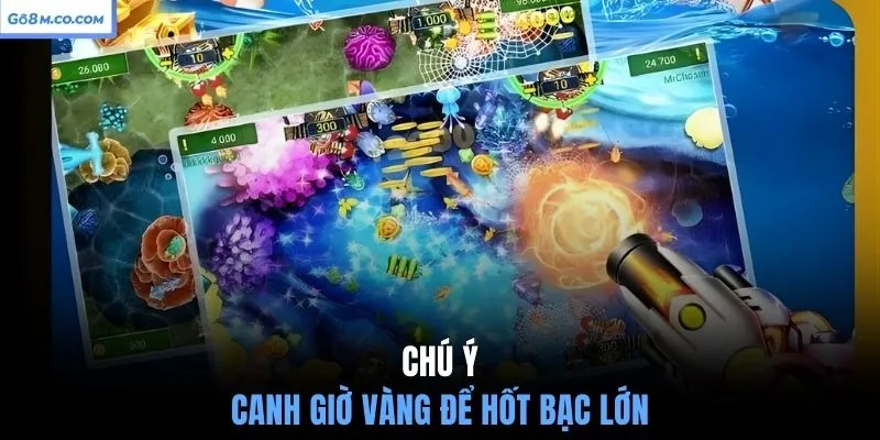 chu-y-canh-gio-vang-de-hot-bac-lon