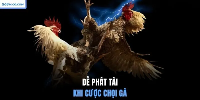 de-phat-tai-khi-cuoc-choi-ga