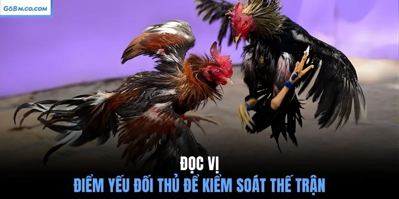 doc-vi-diem-yeu-doi-thu-de-kiem-soat-the-tran
