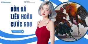 don-da-lien-hoan-cuoc-go8