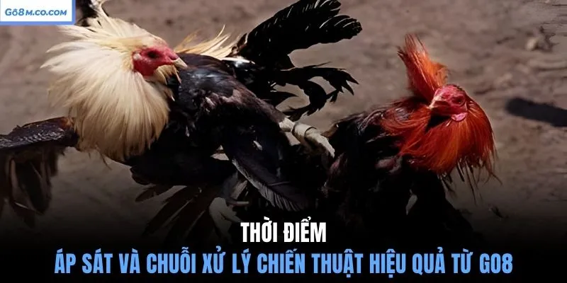 thoi-diem-ap-sat-va-chuoi-xu-ly-chien-thuat-hieu-qua-tu-go8